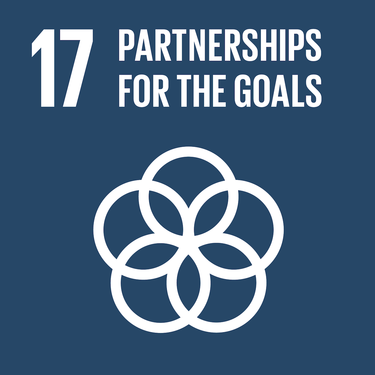 sdg17 icon