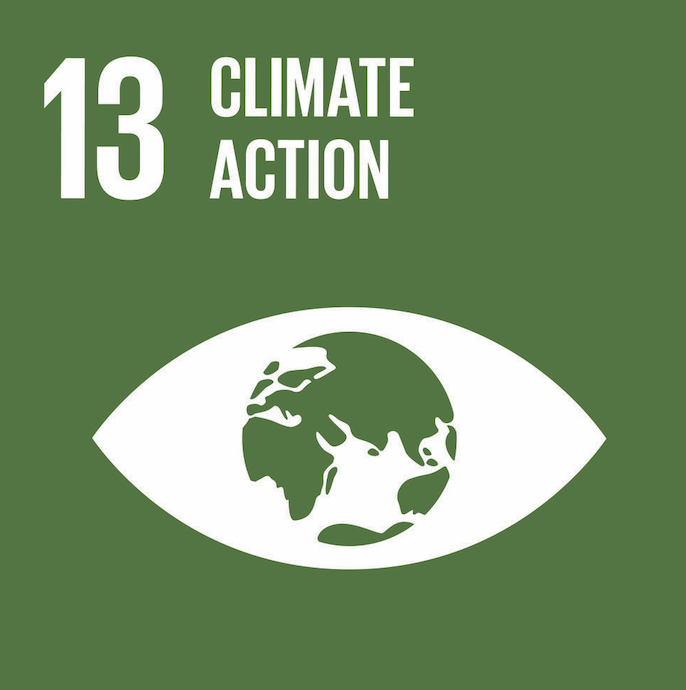 sdg13 tile