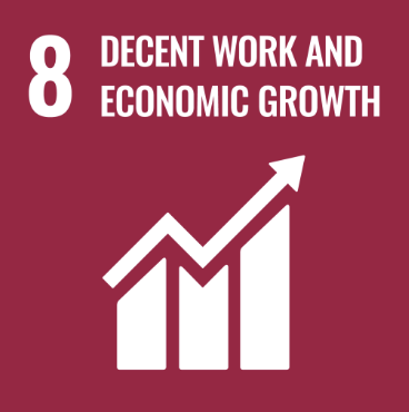 sdg 8