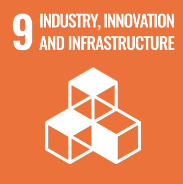 sdg 9