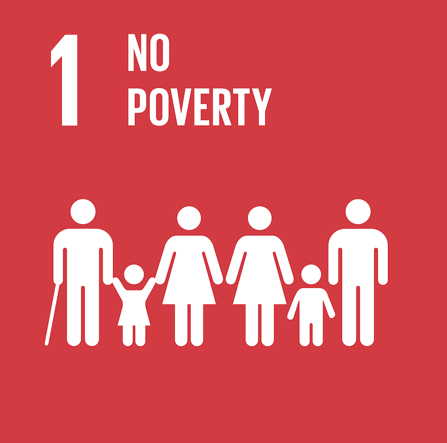 sdg1 logo