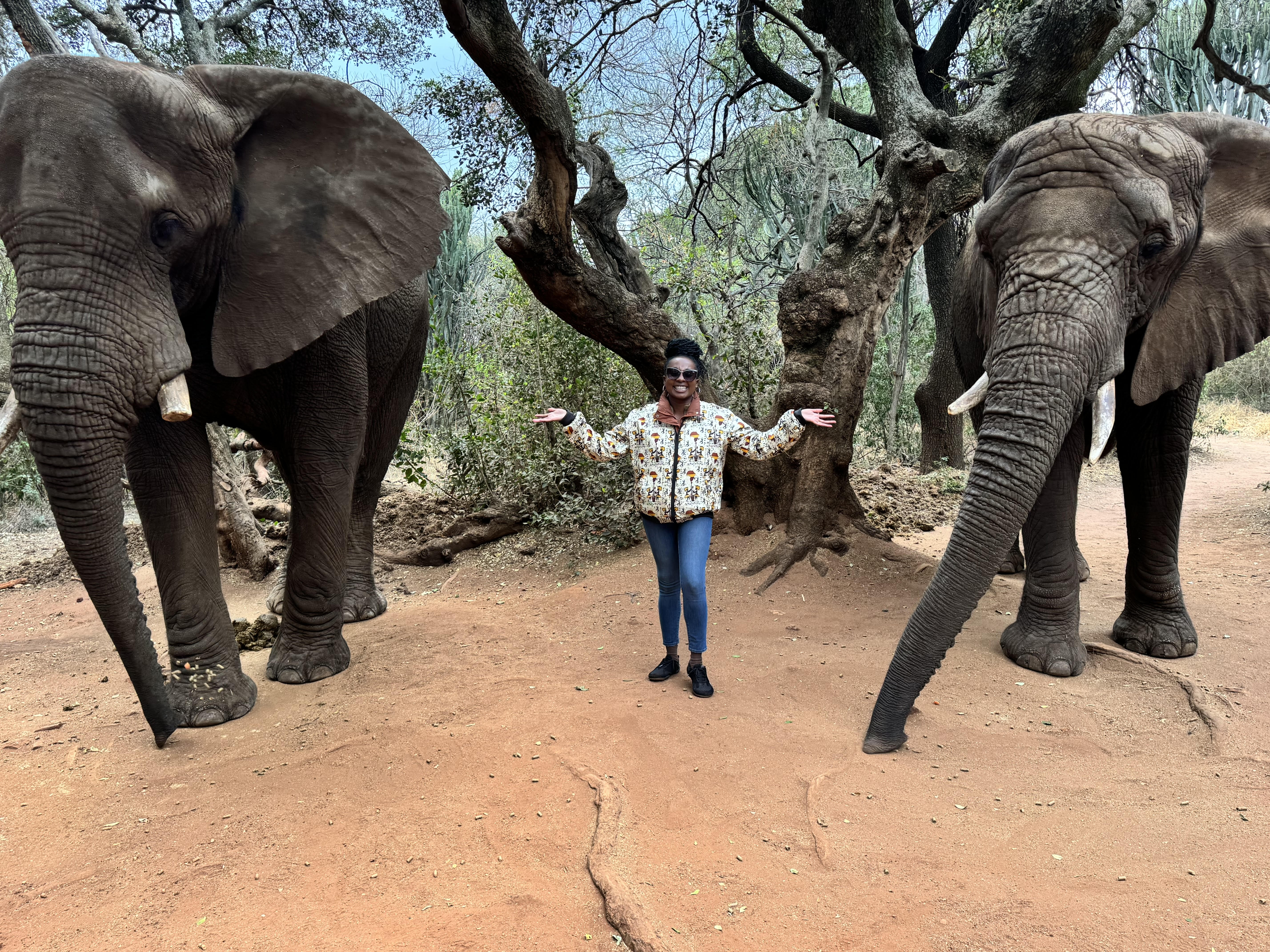 daecia poses with elephants