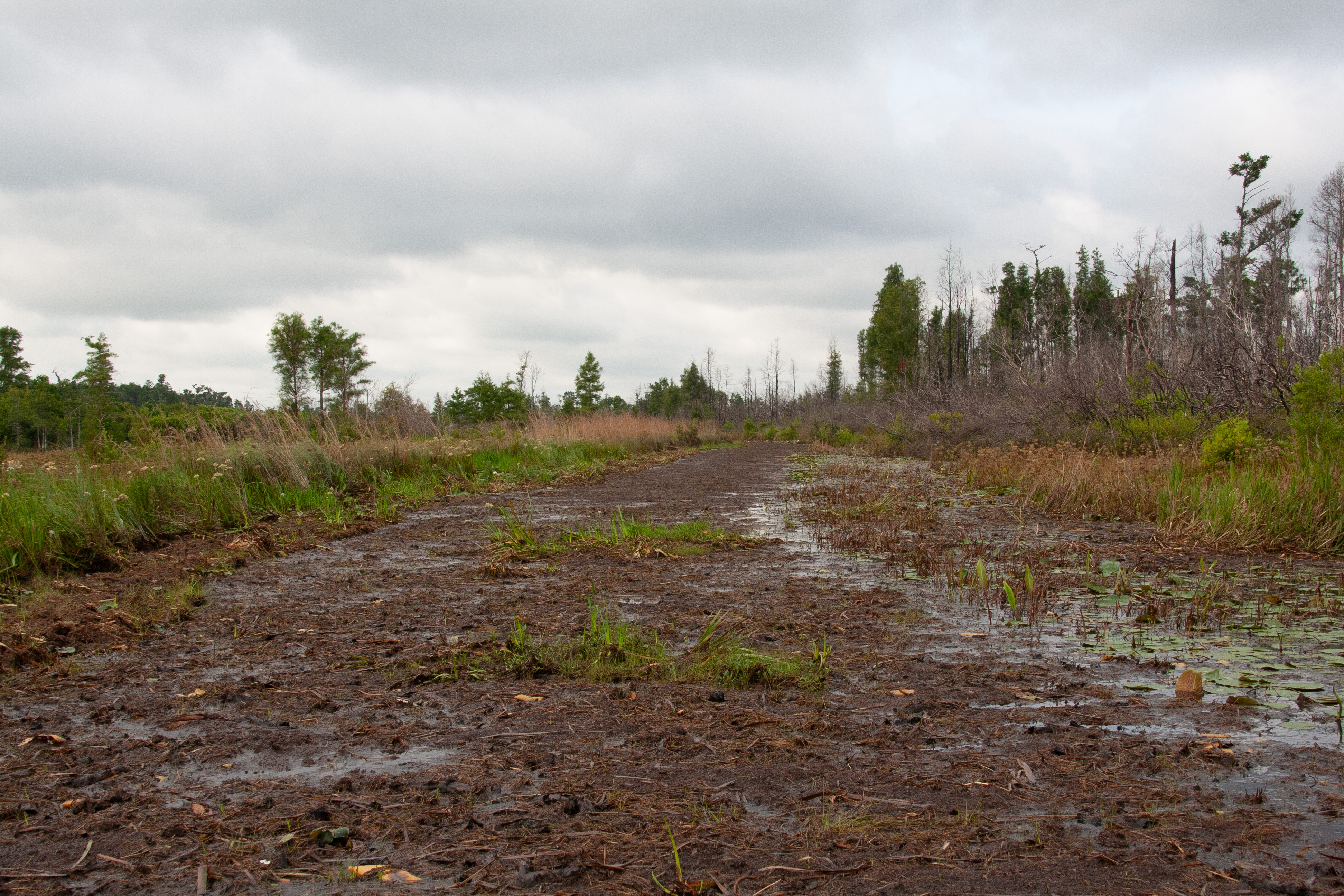 water trail at the refuge