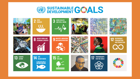 Completed SDGs