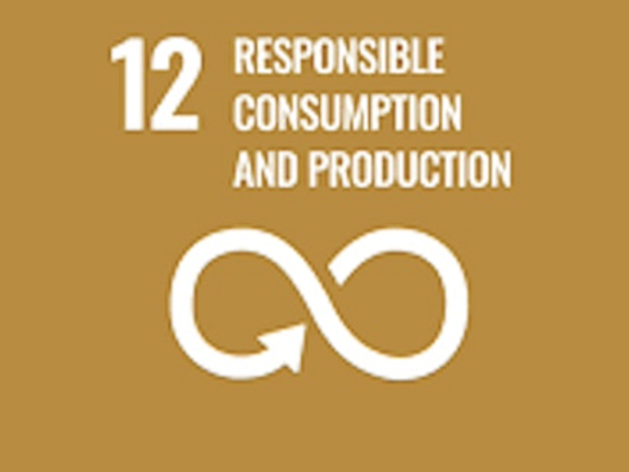 SDG 12 Unveiling