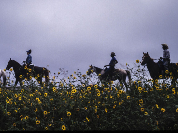Ron Tarver, Sunflower Trail Ride, Brackettville to San Antonio TX, 1994