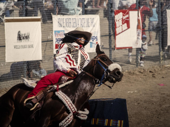 Black barrel racer.