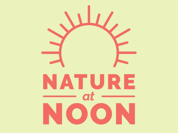 Nature at Noon Flyer