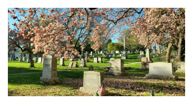 Laurel hill cemetery