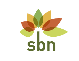 sbn logo