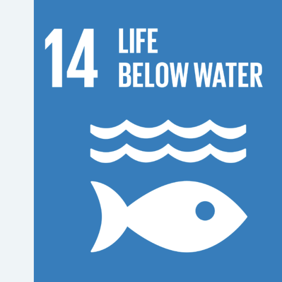 sdg 14