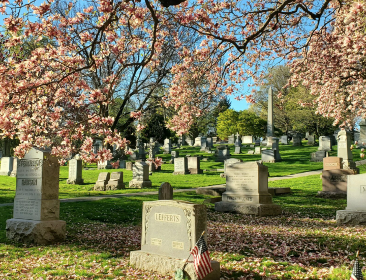 Laurel hill cemetery
