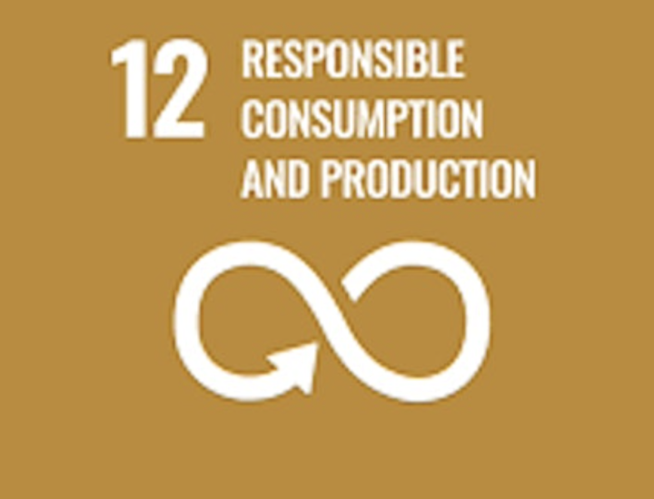 SDG 12 Unveiling