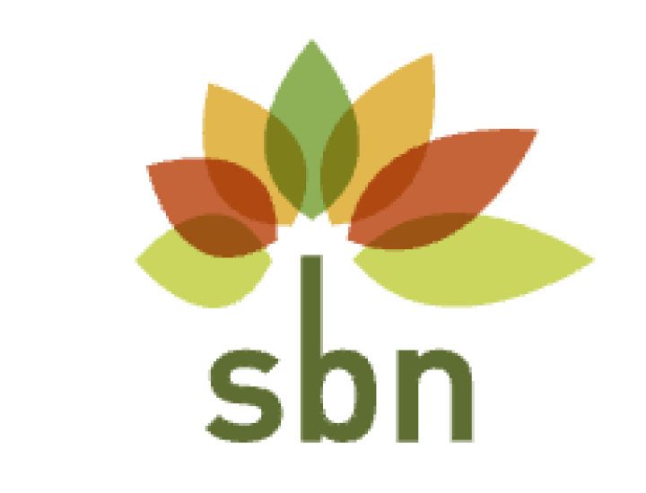 sbn logo