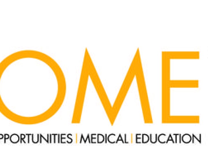 project home logo