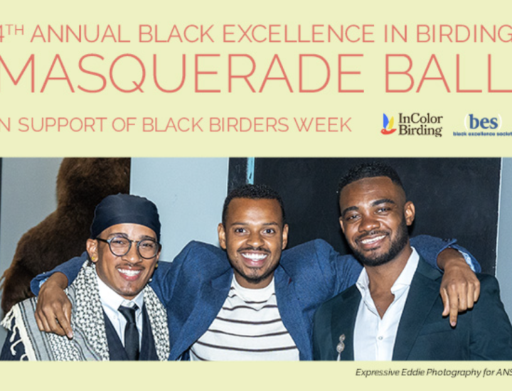 event flyer