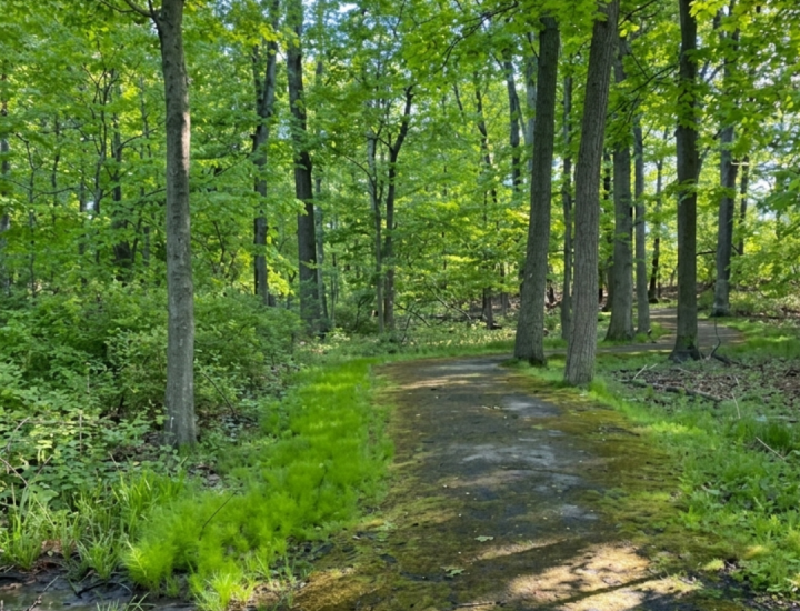 Indigenous trails