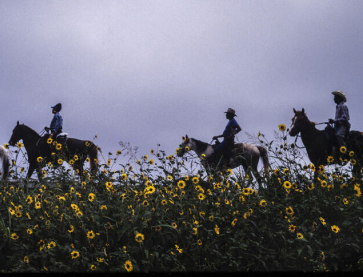 Ron Tarver, Sunflower Trail Ride, Brackettville to San Antonio TX, 1994