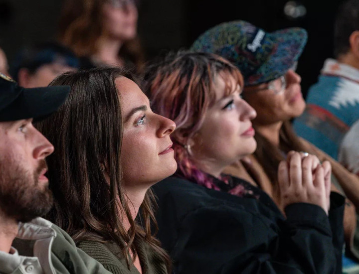 Picture of cinema audience