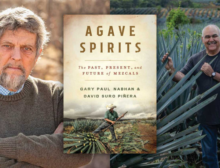 Author Talk and Agave Spirit