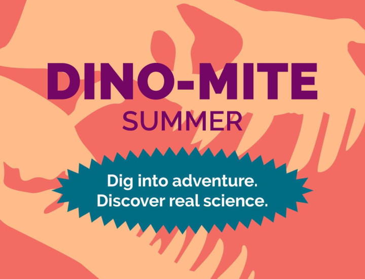 Dino-Mite