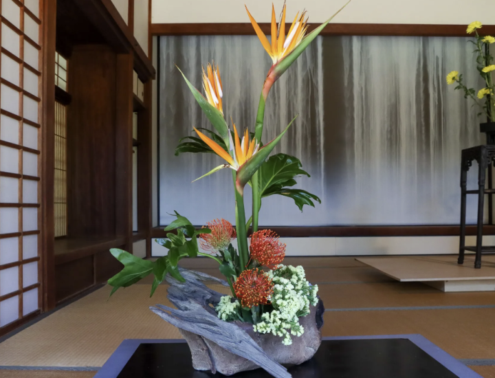 Ikebana