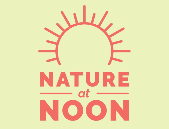 Nature at Noon Flyer