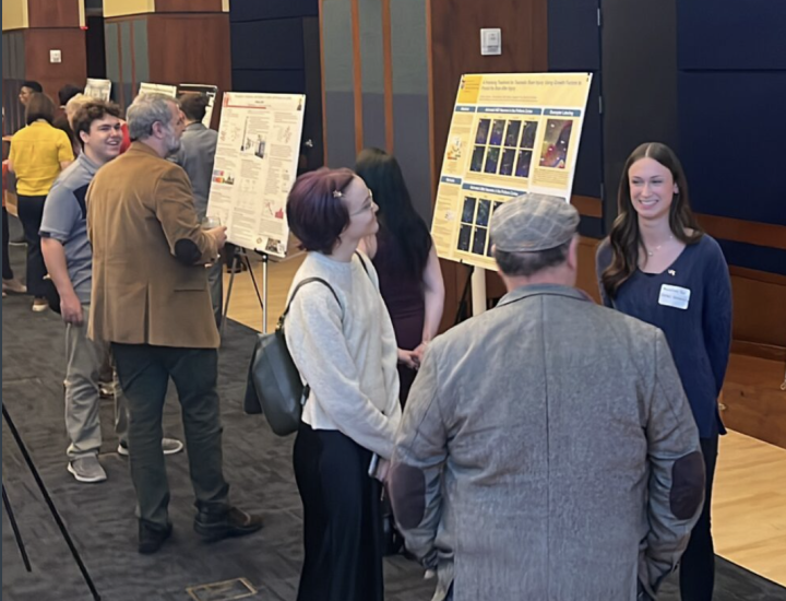 event photo